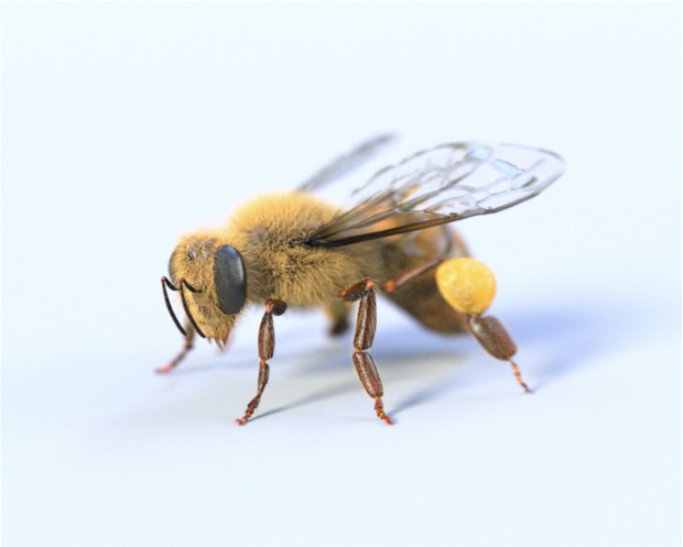 Screenshot 2023-09-27 at 2.15 1