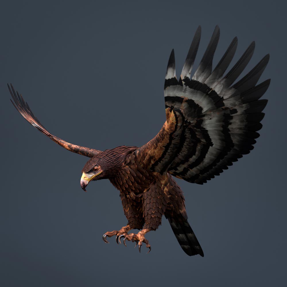 eagle