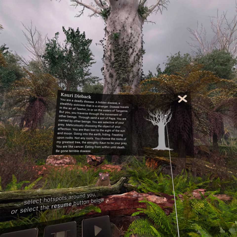 vr_kauri