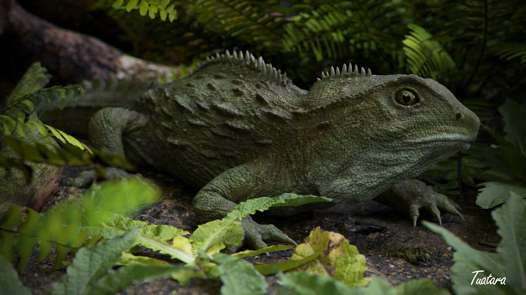 tuatara