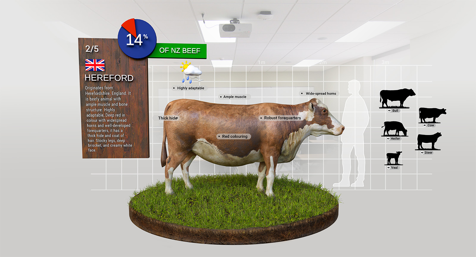 Revolutionising butchery training